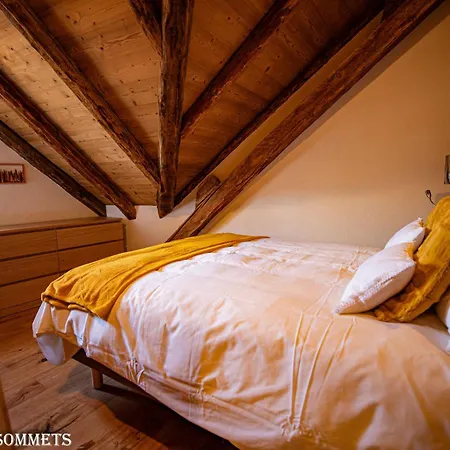 Le Des Sommets A Briancon Puy-Saint-Pierre